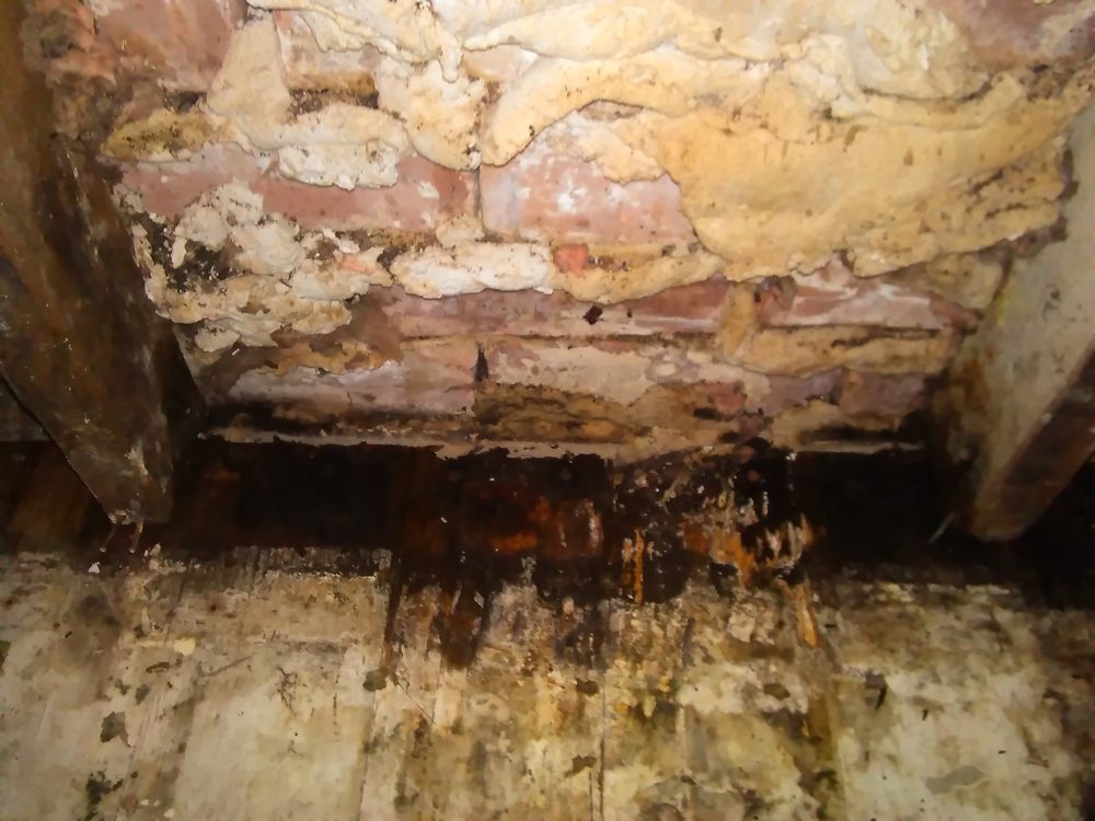 Slide of American Integrity Contracting