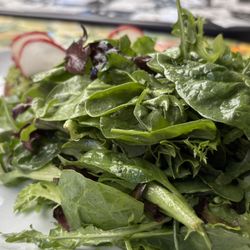 Salad close-up: Organic greens with the house vinaigrette