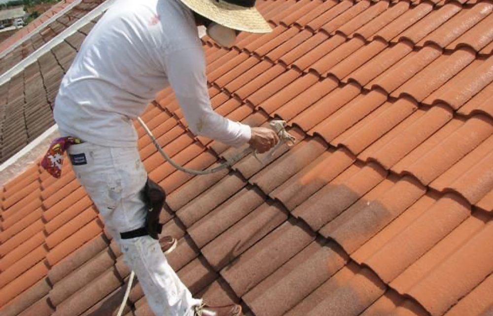 Slide of Renewals 360 Services