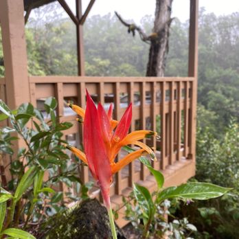 KapohoKine Adventures - Patio - Tours Near Me - Hilo, Hawaii