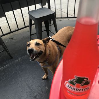 Todo Pa' La Cruda - Cako Approves! - Mexican Near Me - San Diego, California