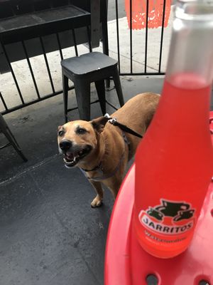 TODO PA' LA CRUDA by null