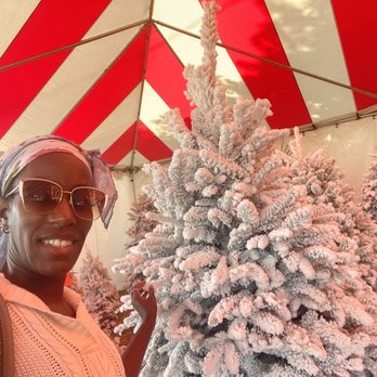 Mr. Jingles Christmas Trees - Me checking out trees - Christmas Trees Near Me - Torrance, California Mr. Jingles Christmas Trees - Me checking out trees - Christmas Trees Near Me - Torrance, California