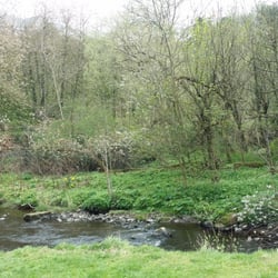 Colinton Dell