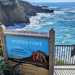 Wood's Cove