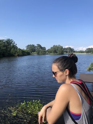 Couturie Forest by null