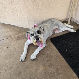 Emma was very nervous and scared but the staff was very patient and sweet with her. Emma was very nervous and scared but the staff was very patient and sweet with her.
