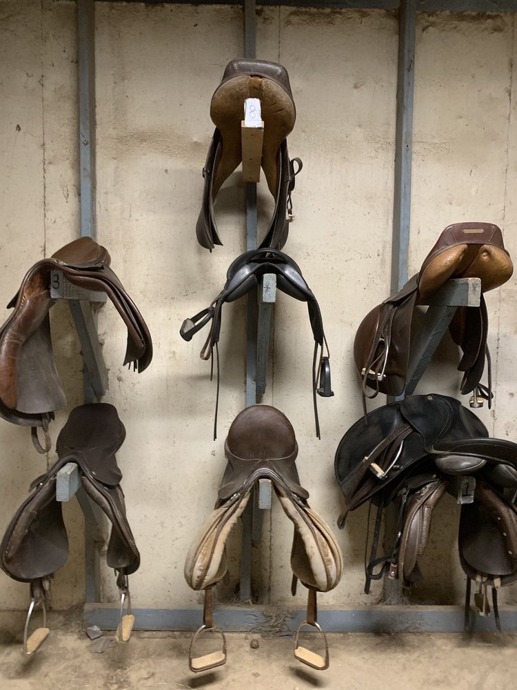 LONG CREEK EQUESTRIAN CENTRE Updated September 2024 11 Photos