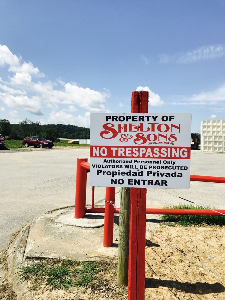 SHELTON AND SONS FARMS Updated August 2024 5424 Enka Hwy, Morristown, Tennessee Farms