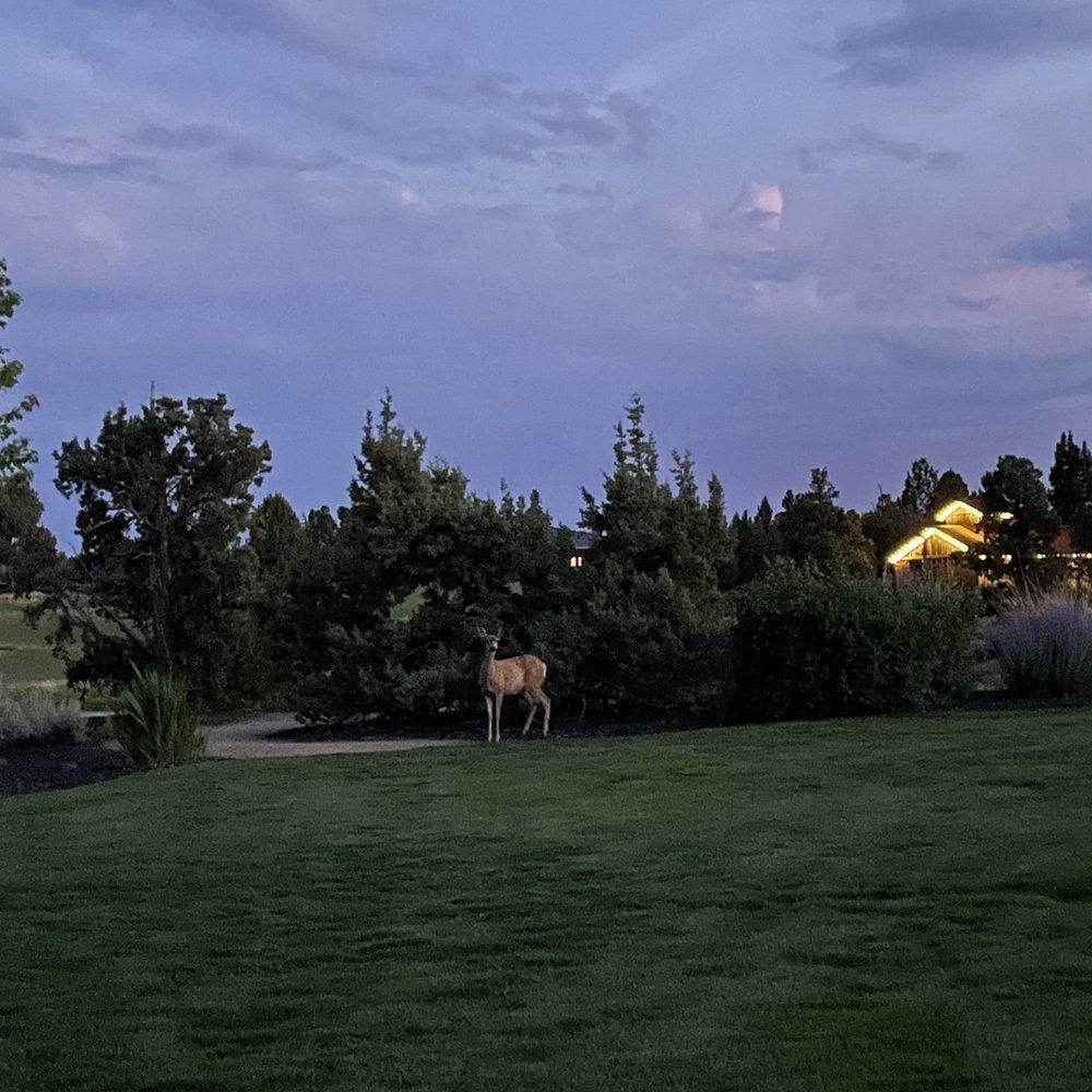 Juniper Preserve - We even saw a couple of deers at the property! - Hotels Near Me - Bend, Oregon Juniper Preserve - We even saw a couple of deers at the property! - Hotels Near Me - Bend, Oregon