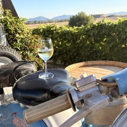 Vermentino wine in front of the vines