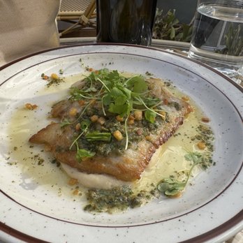 Caché - Skate wing - French Near Me - San Francisco, California Caché - Skate wing - French Near Me - San Francisco, California