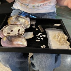 Tennessee River Freshwater Pearl Museum and Cabin Rentals - The tray of different shells Susan explained!