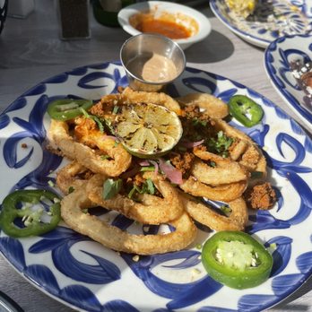 Ambriza - Calamari- it has chorizo with it- it was great- I'm not a big chorizo fan- but if you are- it was pretty good! - Mexican Near Me - Cypress, Texas Ambriza - Calamari- it has chorizo with it- it was great- I'm not a big chorizo fan- but if you are- it was pretty good! - Mexican Near Me - Cypress, Texas