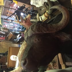 Shaw's Antiques - Cape buffalo