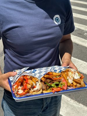 The Gyro Project by null