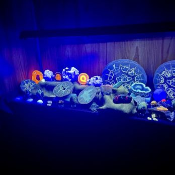 Bluff Dwellers Cave - Black light room - Museums Near Me - Noel, Missouri