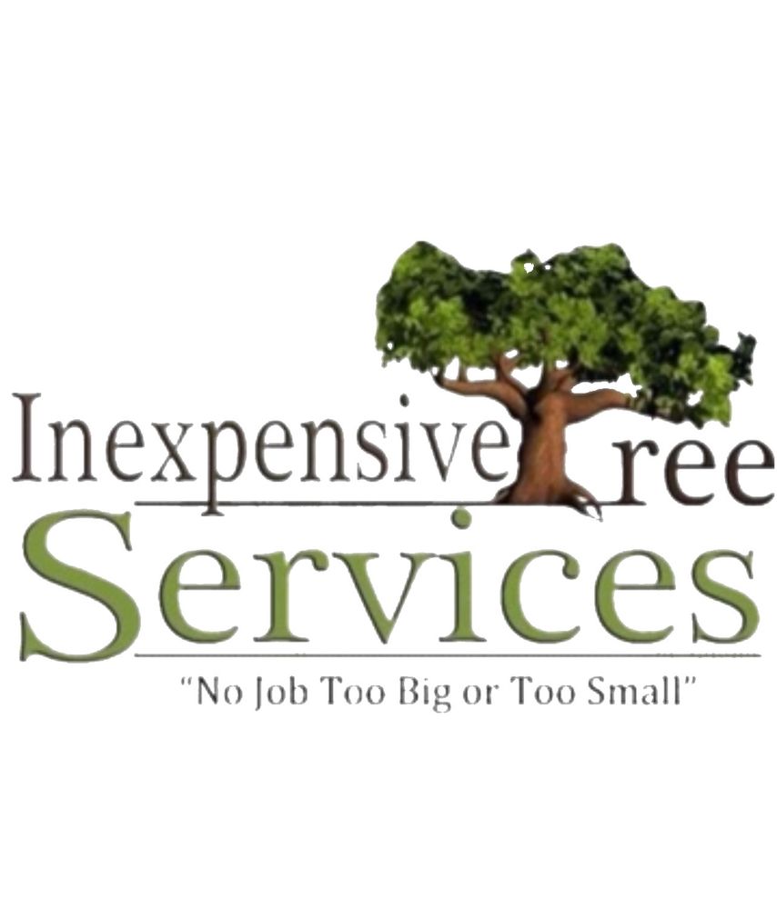 Inexpensive Tree Services - tree service in Los Angeles, CA
