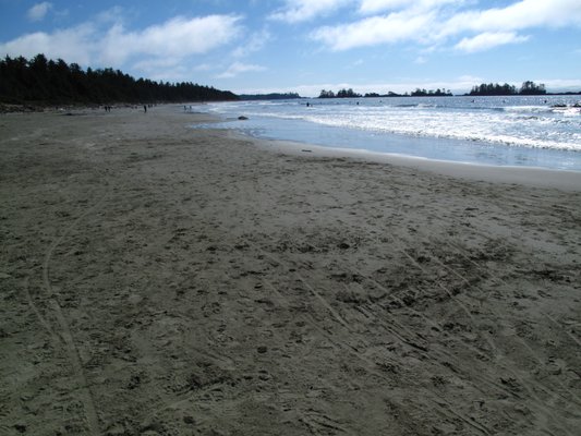Chesterman Beach by null