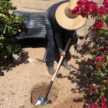 Landscaping Ricardo - Gardeners Near Me