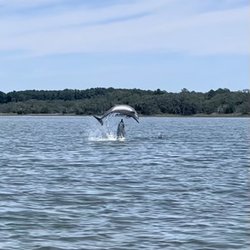 Live Oac Outdoor Adventure Company - Dolphin acrobatics!