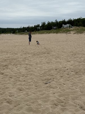 Petoskey State Park by null