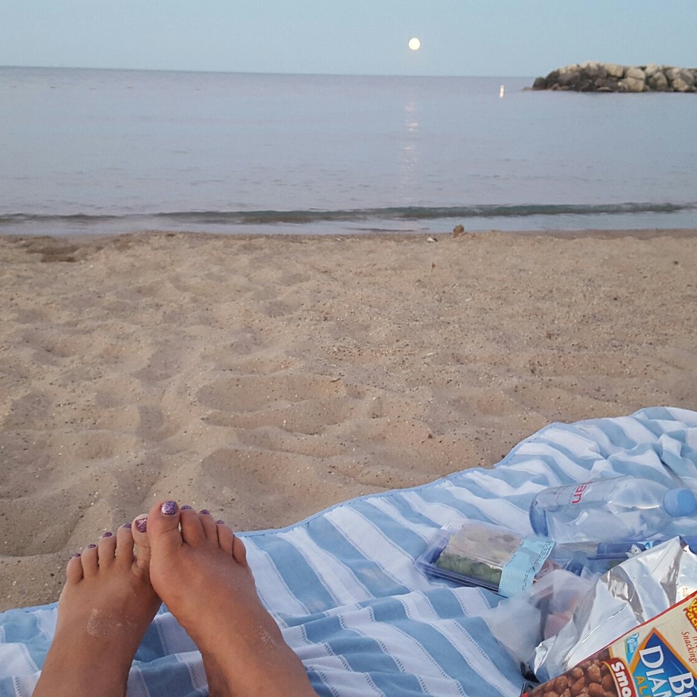 Forest Park Beach - Perfect view. - Beaches Near Me - Lake Forest, Illinois Forest Park Beach - Perfect view. - Beaches Near Me - Lake Forest, Illinois