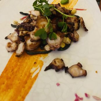 Potente - Charred octopus - Italian Near Me - Houston, Texas