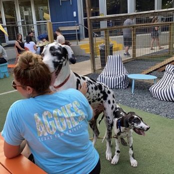 Hops & Hounds - Dog Parks Near Me - San Antonio, Texas Hops & Hounds - Dog Parks Near Me - San Antonio, Texas