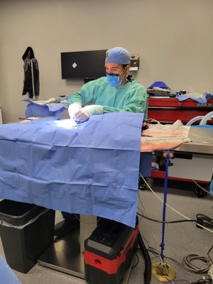 Lawndale Pet Hospital by null