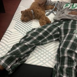 Mattress Firm Hackensack - Beaux testing out the mattresses.