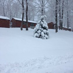 Bodnarosa Motel And Campground