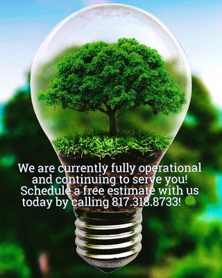 WISE TREE CARE - Updated June 2026 - 20 Photos & 29 Reviews - 1600 ...