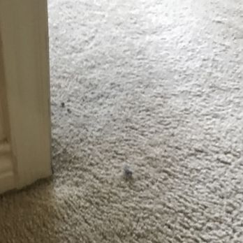 Molly Maid of San Antonio - Home Cleaning Near Me - San Antonio, Texas