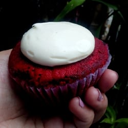 Sophie's Mom - My take-home red velvet cupcake. See that thick wad of cream cheese? YUM.