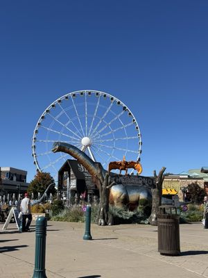 The Island in Pigeon Forge by null