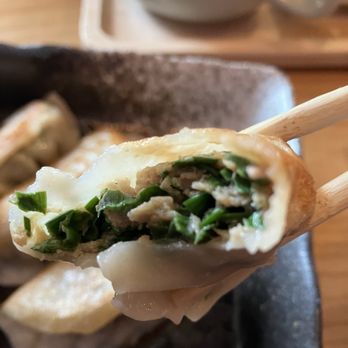 Fujiya Ramen - Interior: Pork & Chive Gyoza . . . - Ramen Near Me - Pittsburgh, Pennsylvania