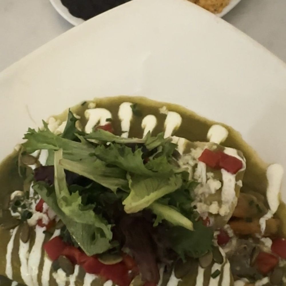 Mole Mexican Kitchen - Shrimp Enchiladas - Mexican Near Me - Palm Desert, California Mole Mexican Kitchen - Shrimp Enchiladas - Mexican Near Me - Palm Desert, California