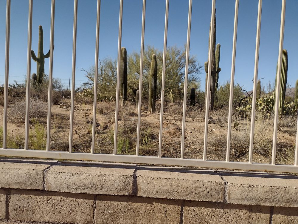 TJ's Moving, Landscaping, and Labor - tree service in Tucson, AZ
