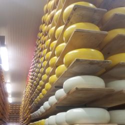 Mountainoak Cheese