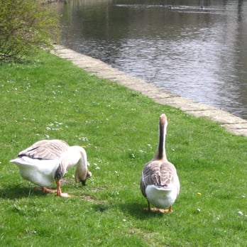 Unterer Teich - Lakes Near Me - Holzminden, NI