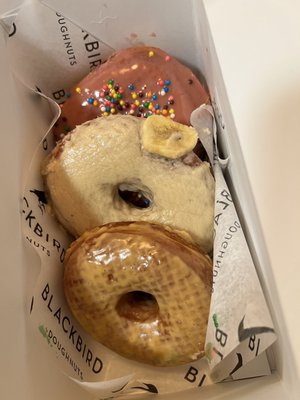 Blackbird Doughnuts Beacon Hill by null