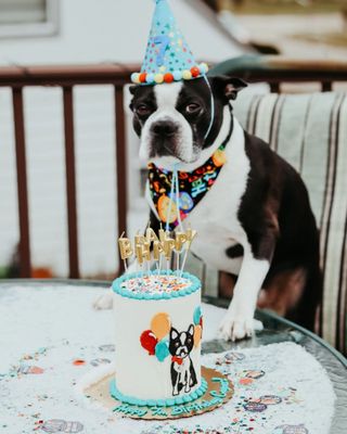 Classy Girl Cupcakes