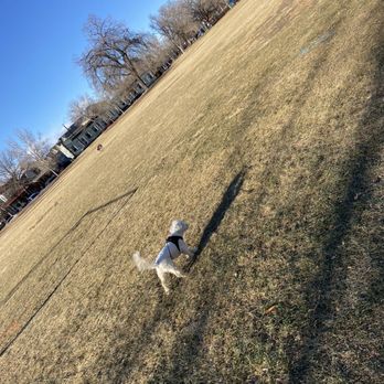 Mestizo-Curtis Park - Parks Near Me - Denver, Colorado Mestizo-Curtis Park - Parks Near Me - Denver, Colorado