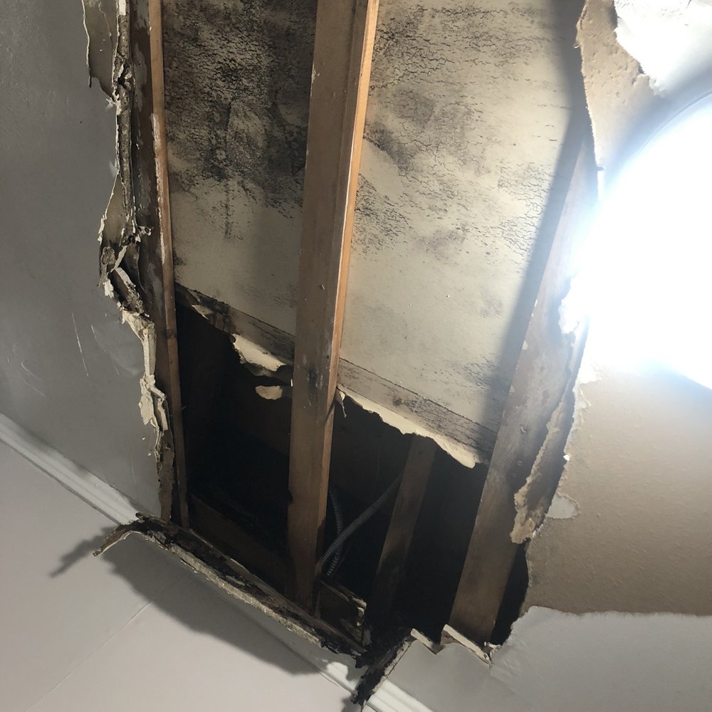 Maison Managment - Progression of leak after 4 days - Property Management Near Me - Rochester, New York Maison Managment - Progression of leak after 4 days - Property Management Near Me - Rochester, New York