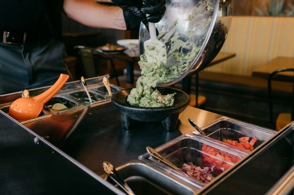 Iguana On Park by null