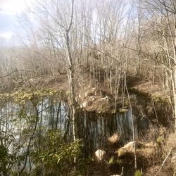 Walden Preserve