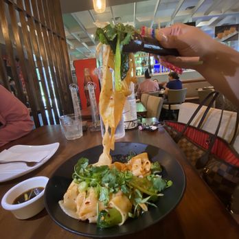 Trendy Dumpling - Biang Bang Bang Noodle - Noodles Near Me - Houston, Texas