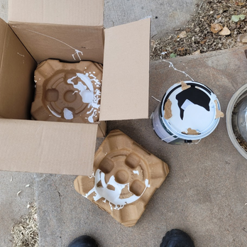 FedEx Ship Center - Opened box shows the paint spilled. Must have been tossed around quite a bit to dislodge the lid on 1 gal can. - Shipping Centers Near Me - Colorado Springs, Colorado