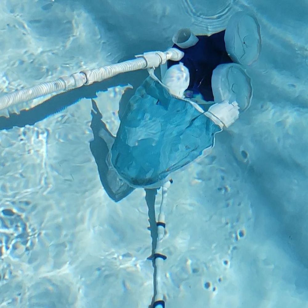 Delta Pool Care - Came home this day and was wondering why is there debri all on the floor, oh he didnt put on the net. - Pool Cleaners Near Me Delta Pool Care - Came home this day and was wondering why is there debri all on the floor, oh he didnt put on the net. - Pool Cleaners Near Me